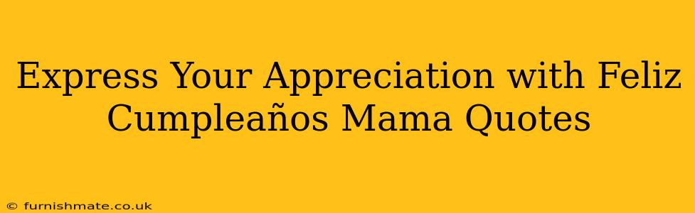Express Your Appreciation with Feliz Cumpleaños Mama Quotes