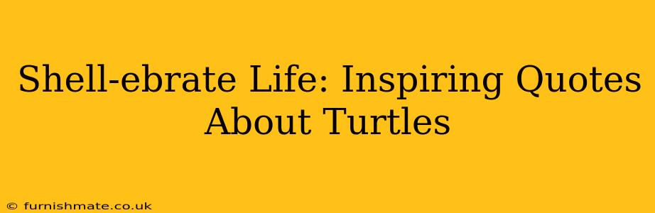 Shell-ebrate Life: Inspiring Quotes About Turtles