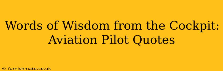 Words of Wisdom from the Cockpit: Aviation Pilot Quotes